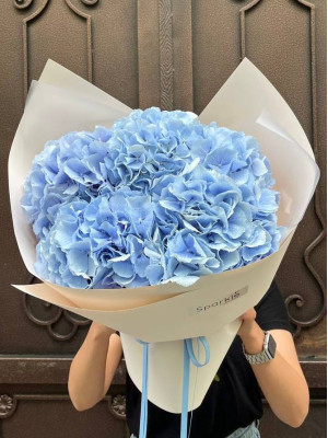 Букет 5 блакитних гортензій