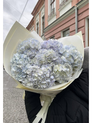Букет 7 голубих гортензій
