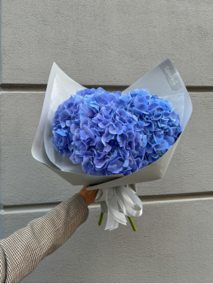 Букет 3 голубі гортензії