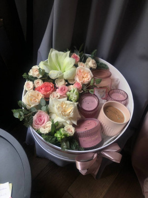 Теплі почуття