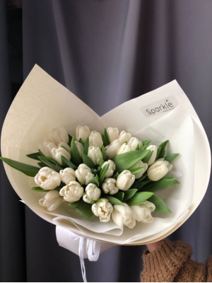 29 білих тюльпанів