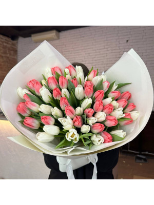65 біло-рожевих тюльпанів 