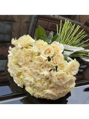 55 троянд солсі 