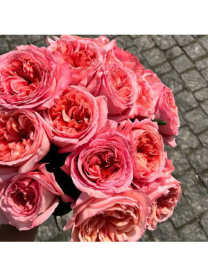 15 троянд пінк експрешн