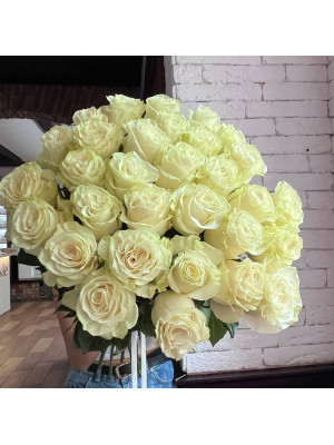 31 троянда мондіаль